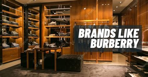 cheaper brands like burberry|burberry brand comparables.